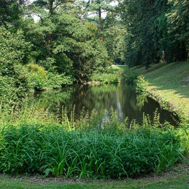 Gras. Wettervorhersagen mit schönen Fotos von Lecheval Fotos Münster