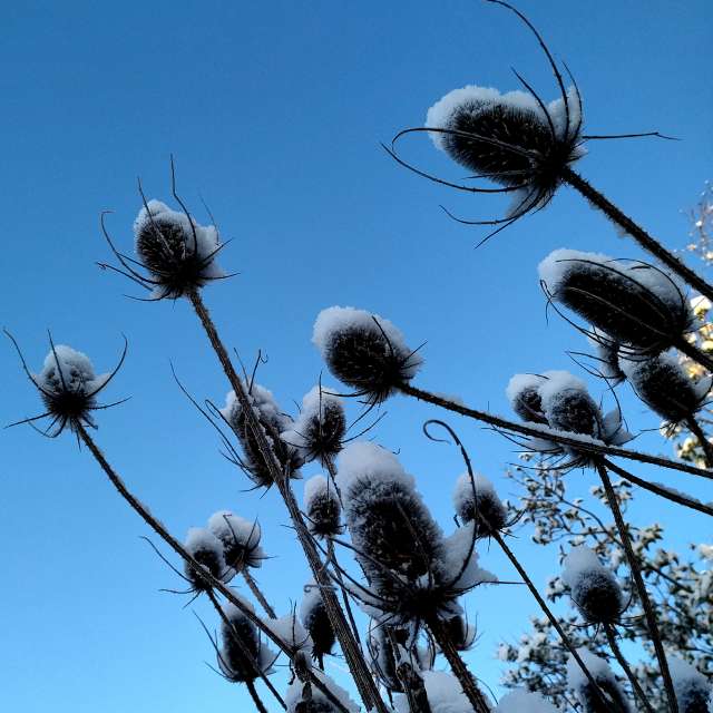 Previsões do tempo com lindas fotos de Clairette