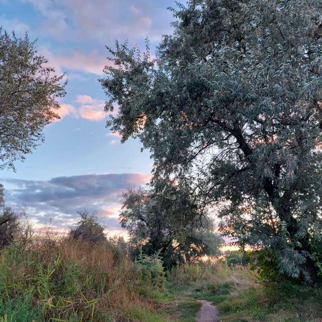 Oriental sucker. Weather forecasts with beautiful photos by Iryna Photos in Kharkiv