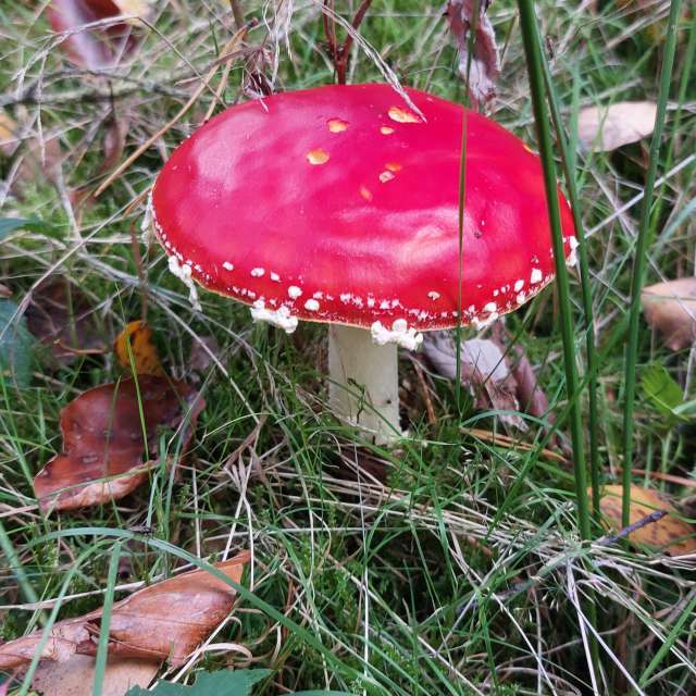 Previsões do tempo com lindas fotos de MaLou