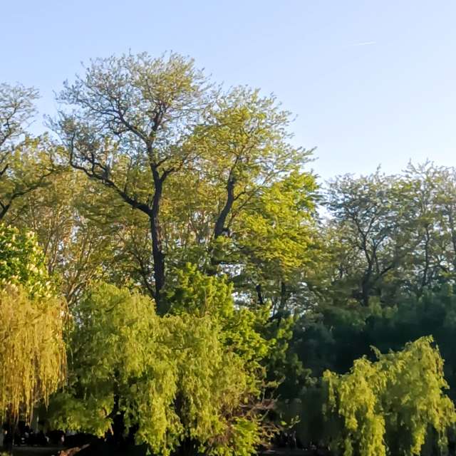 Fotos del Casa. Pronósticos del tiempo con hermosas fotos de YanBog en București