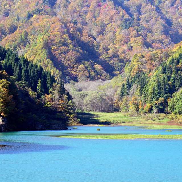 Weather forecasts with beautiful photos by yoshy