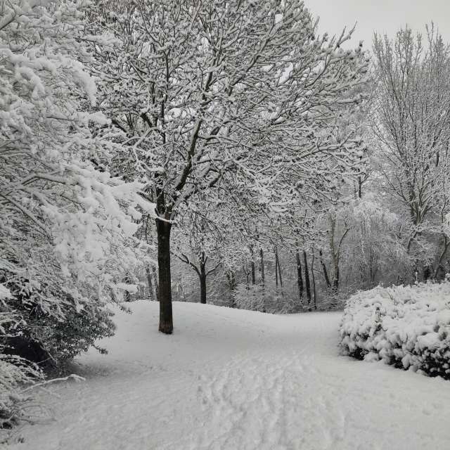 Prévisions météo avec de superbes photos de Rosaja