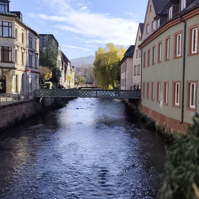 Weather forecasts with beautiful photos by Tercis