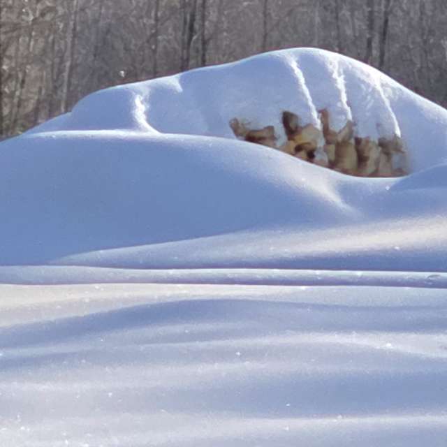 Pronósticos del tiempo con hermosas fotos de Kepi
