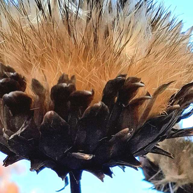 Прогнозы погоды с чудесными фотографиями, сделанными schimi