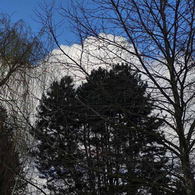 Prévisions météo avec de superbes photos de AlaGibki