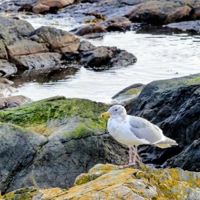 Прогнозы погоды с чудесными фотографиями, сделанными BijanZ