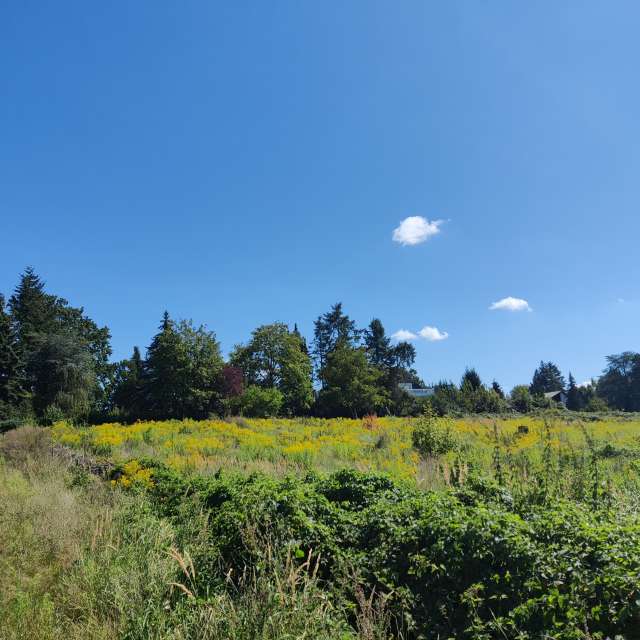 Fotos Azul. Previsões do tempo com lindas fotos de Zorrra em Kladow