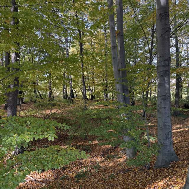 Grassy. Weather forecasts with beautiful photos by Cocolino Photos in World