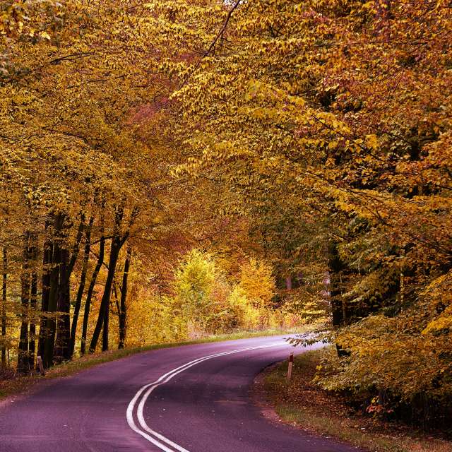 Mirostowice Dolne dakı Payız şəkilləri, Hava proqnozu & Şəkillər - Weawow