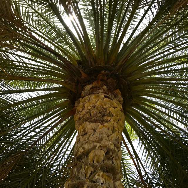 Pronósticos del tiempo con hermosas fotos de phantran