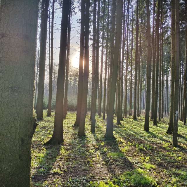 天气预报，带Aleksei精美的照片