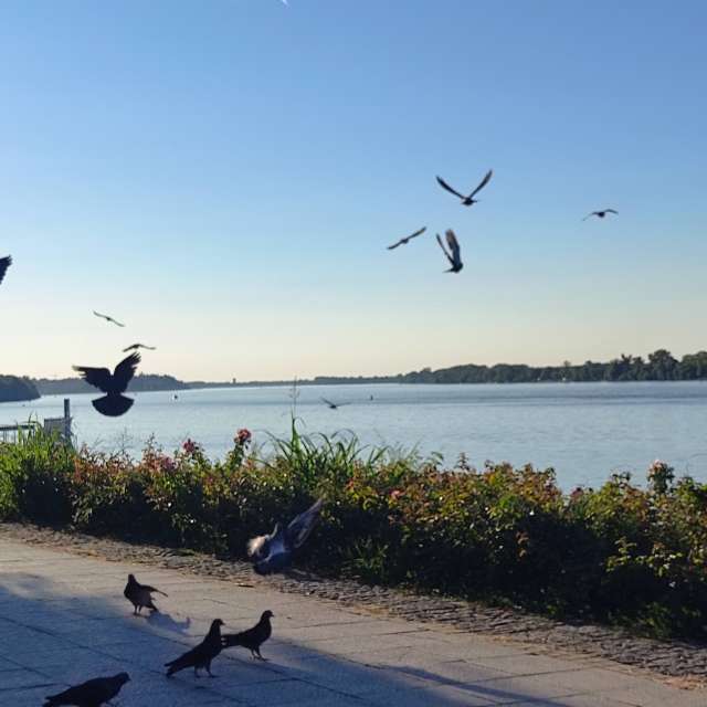 天气预报，带Doc_H精美的照片