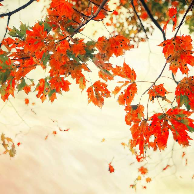 Прогнозы погоды с чудесными фотографиями, сделанными Bill Schmid