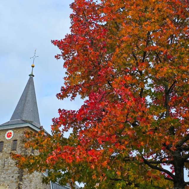 House. Weather forecasts with beautiful photos by Seni Photos in Velbert