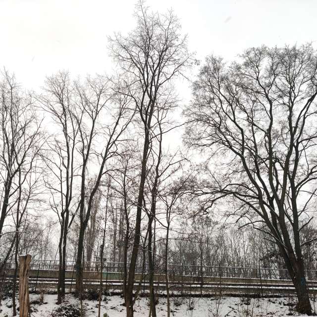 Прогнозы погоды с чудесными фотографиями, сделанными Zorrra