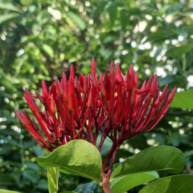 Fotos Colorido. Previsões do tempo com lindas fotos de Wen-ya Huang em Kaohsiung City