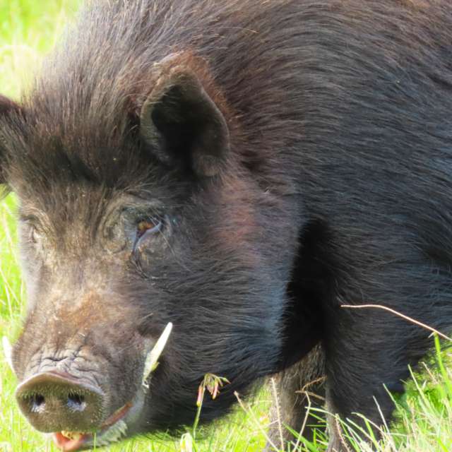 天气预报，带Step_Gently精美的照片