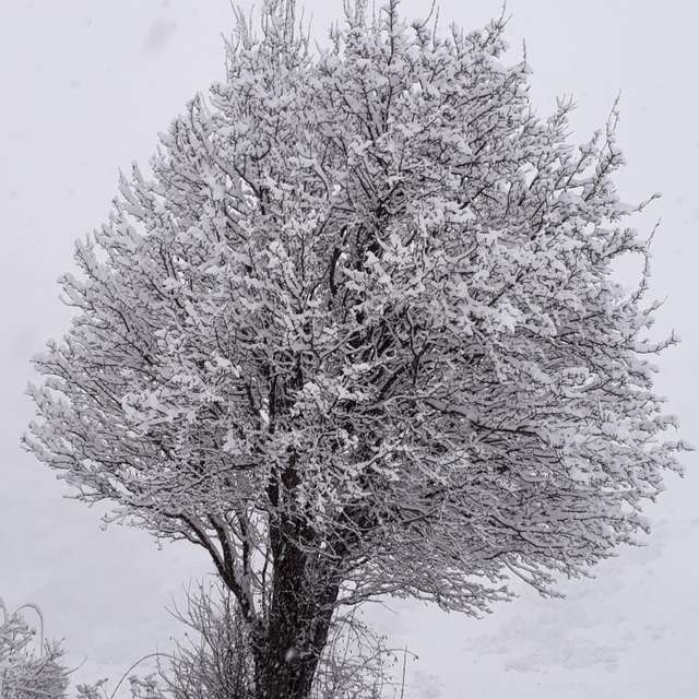 Weather forecasts with beautiful photos by Leones