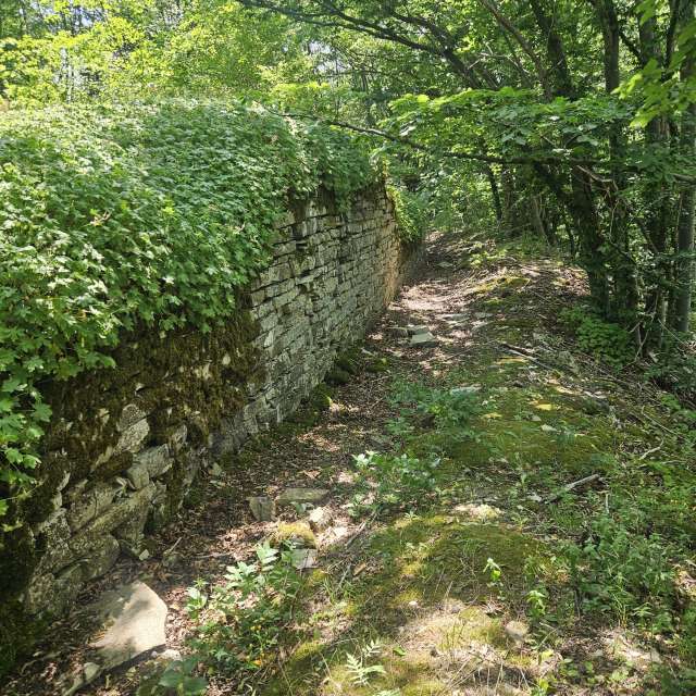 Gehen. Wettervorhersagen mit schönen Fotos von Arrise Fotos Bulgarien