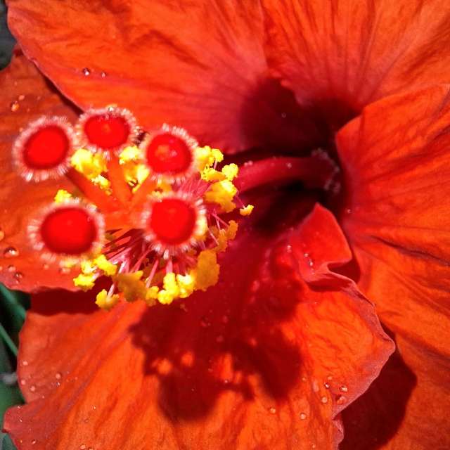 Room. Weather forecasts with beautiful photos by Wen-ya Huang Photos in Kaohsiung City