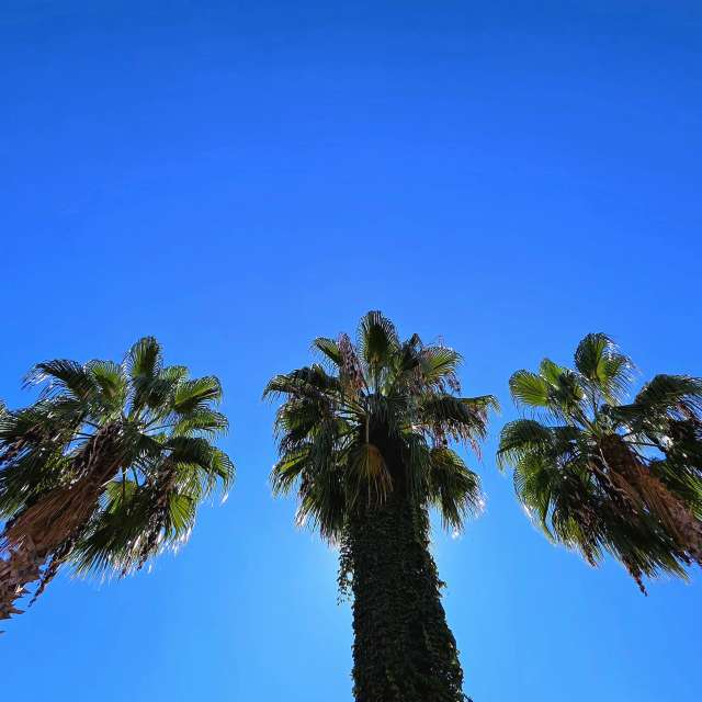 Prévisions météo avec de superbes photos de Traveling-Puma