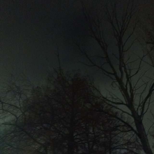 Fotos del Joven. Pronósticos del tiempo con hermosas fotos de YanBog en București