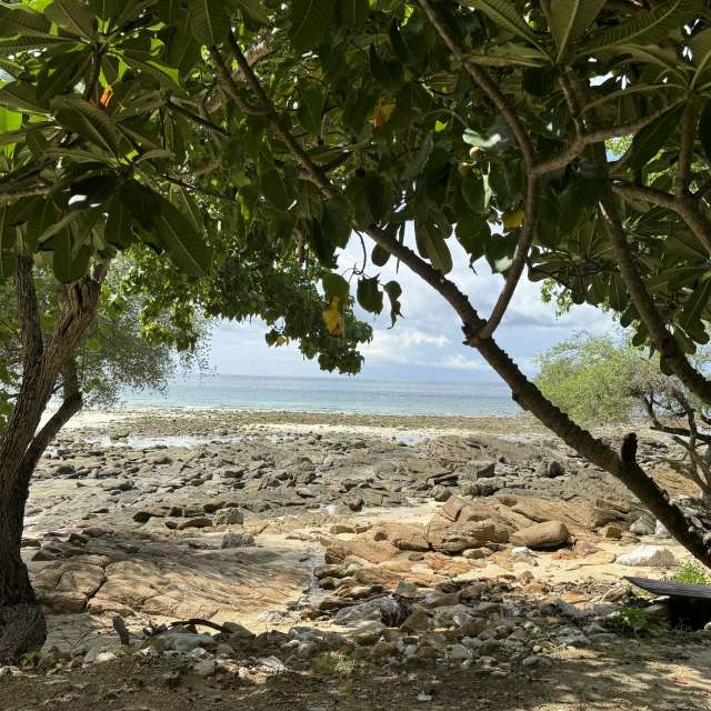 Weather forecasts with beautiful photos by web3dao