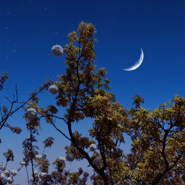 Weather forecasts with beautiful photos by Takimi-sky