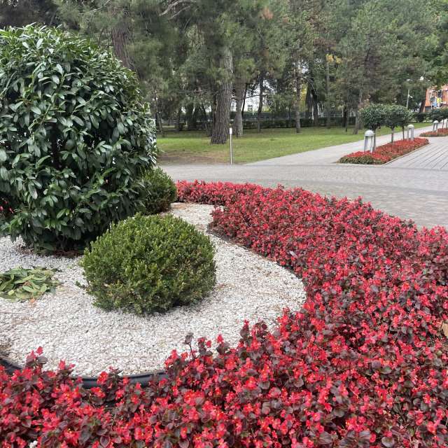 Pronósticos del tiempo con hermosas fotos de Vera22