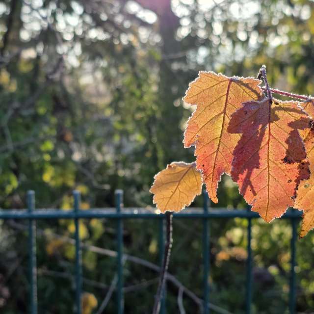 天气预报，带Brtd精美的照片