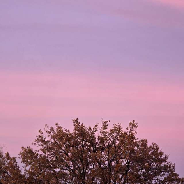 Wettervorhersagen mit schönen Fotos von Hela