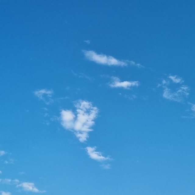 Pronósticos del tiempo con hermosas fotos de Fox_1900