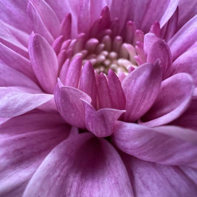 Photos météo à Monde. Prévisions météo avec de superbes photos de SwissEloi