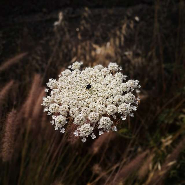 Dự báo thời tiết với những bức ảnh đẹp của Sunil Prashanth R