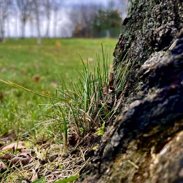 Photos Champ. Prévisions météo avec de superbes photos de Stassy de Teshkovo