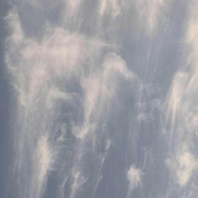 Fotos del Caballo. Pronósticos del tiempo con hermosas fotos de YanBog en București