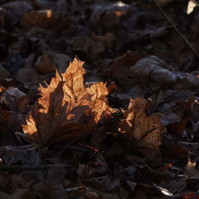 Fotos Luz. Previsões do tempo com lindas fotos de Vasek325 em Praha 4
