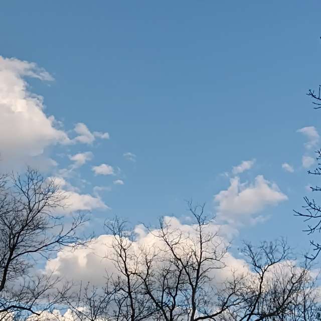 Fotos del Pasto. Pronósticos del tiempo con hermosas fotos de YanBog en București