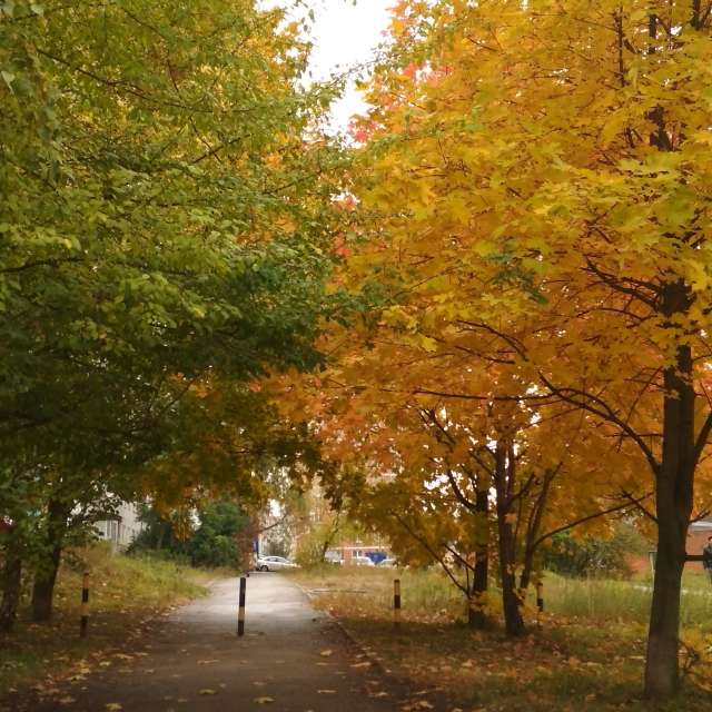 天气预报，带marina.antonova12345精美的照片