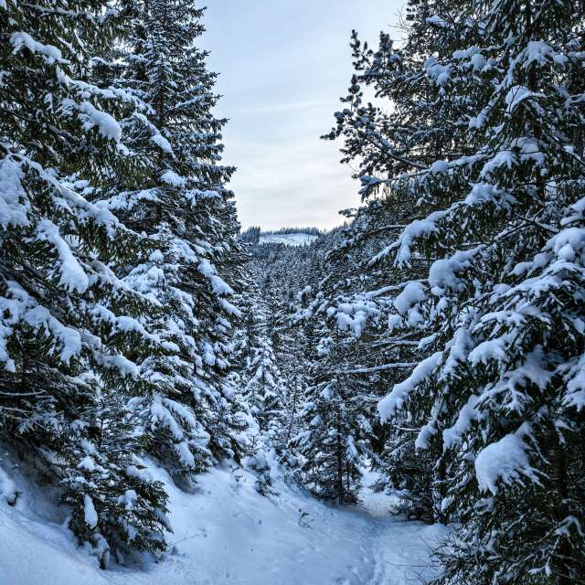 Winter. Weather forecasts with beautiful photos by _richardd Photos in World