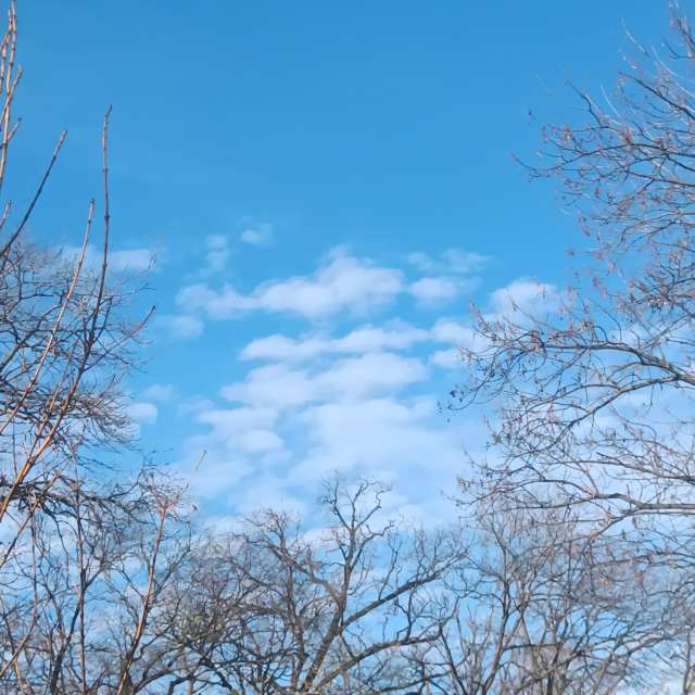 Fotos del Nieve. Pronósticos del tiempo con hermosas fotos de YanBog en București