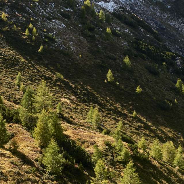 Weather forecasts with beautiful photos by jpfoto