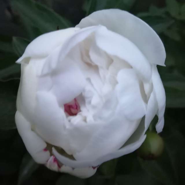 Wettervorhersagen mit schönen Fotos von Yurik