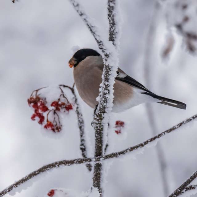 Фотографии Погоды в Мир. Прогнозы погоды с чудесными фотографиями, сделанными Nymph542