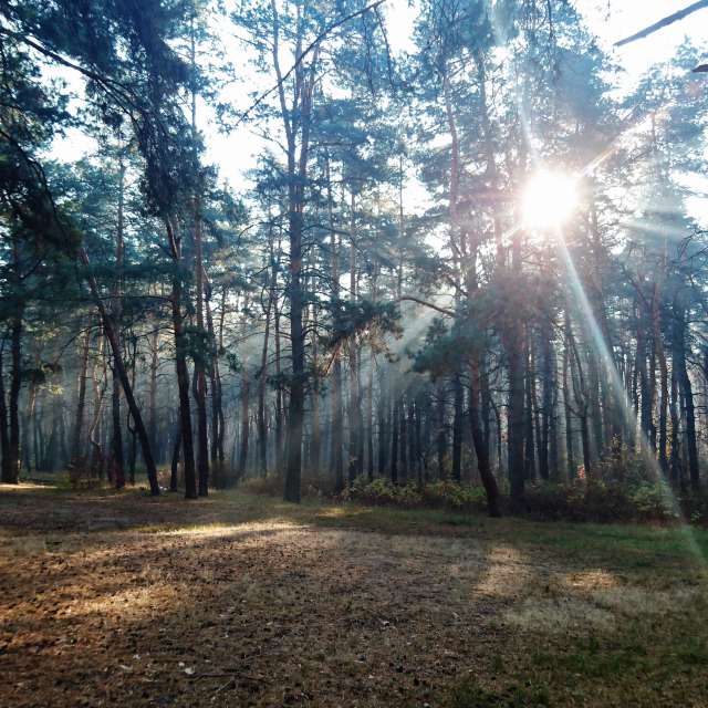 Air. Weather forecasts with beautiful photos by Михаил Гавриков Photos in Kharkiv