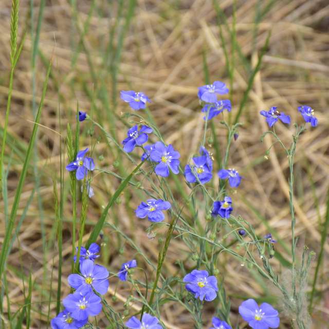 Weather forecasts with beautiful photos by 1stEyeFocused