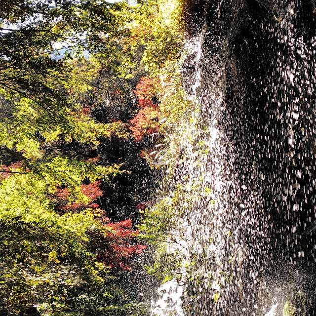 秋. Weather forecasts with beautiful photos by umemui Photos in World