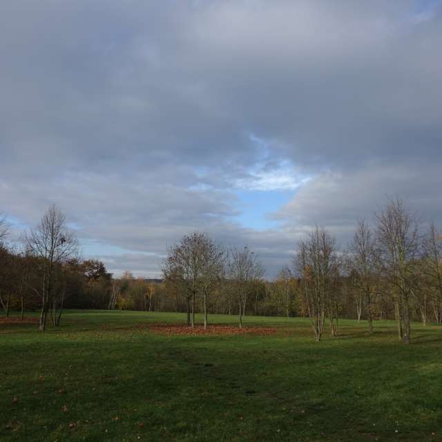 Fotos Grama. Previsões do tempo com lindas fotos de Vasek325 em Praha 4